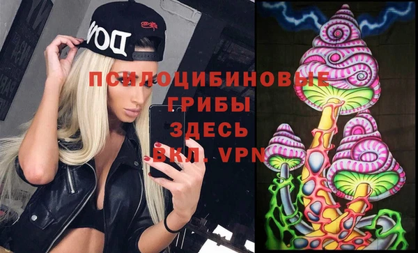 прущий лед Алзамай