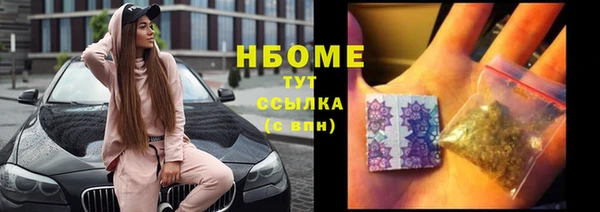 прущий лед Алзамай