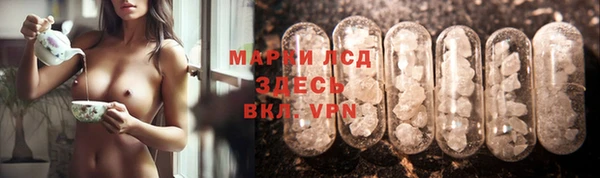 ГАЛЛЮЦИНОГЕННЫЕ ГРИБЫ Алексин