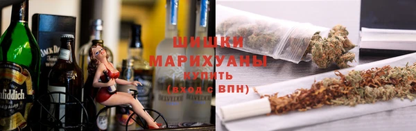 прущий лед Алзамай