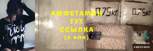 прущий лед Алзамай
