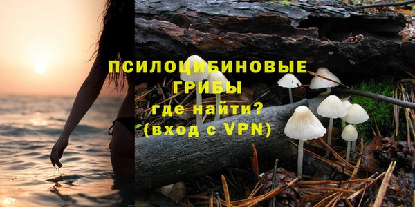 прущий лед Алзамай