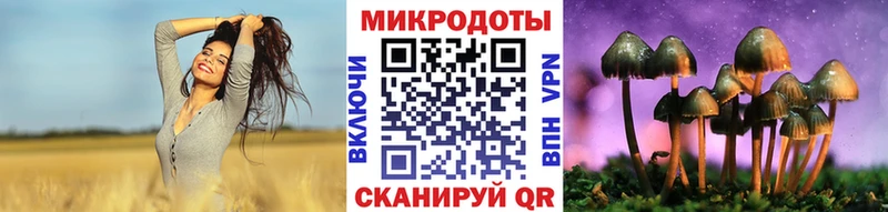 купить наркотик  Куртамыш  Галлюциногенные грибы MAGIC MUSHROOMS 